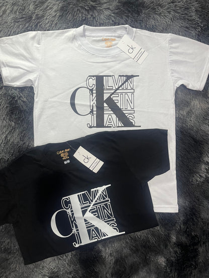 Playera Económica 100 piezas