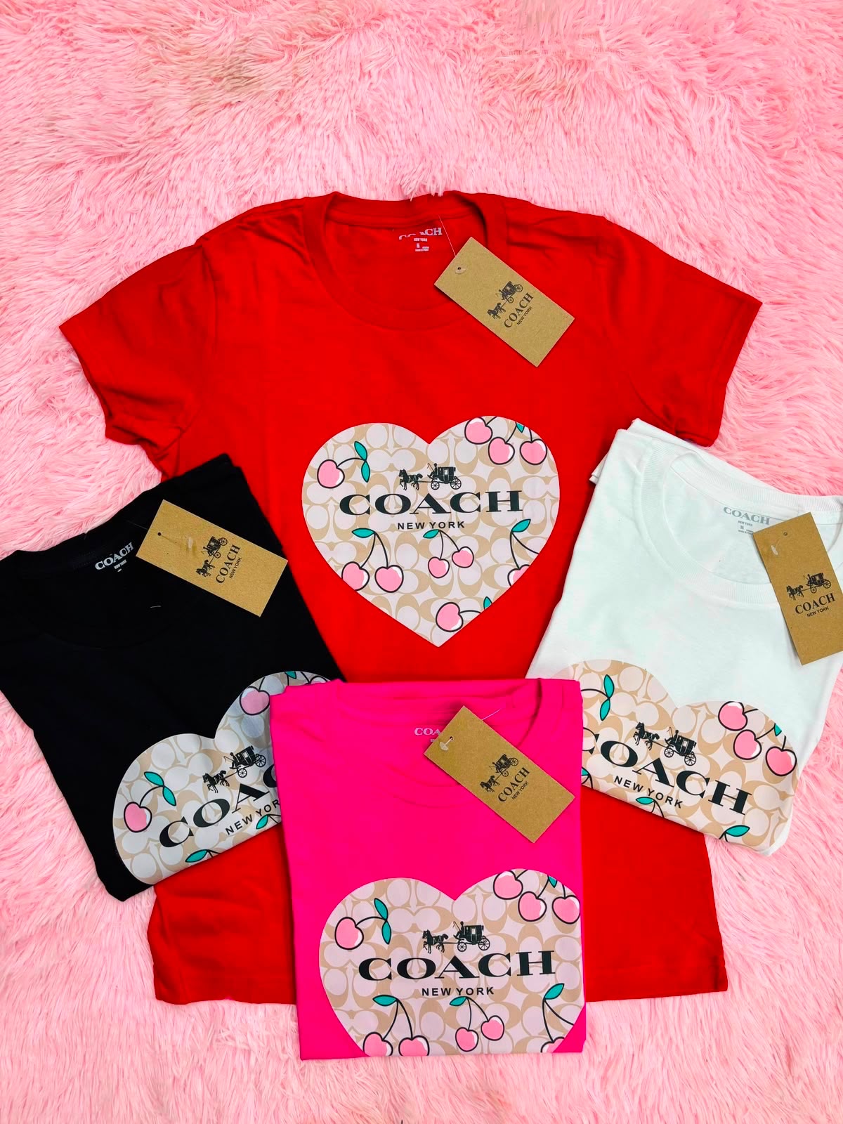 Playera Dama 12 Piezas