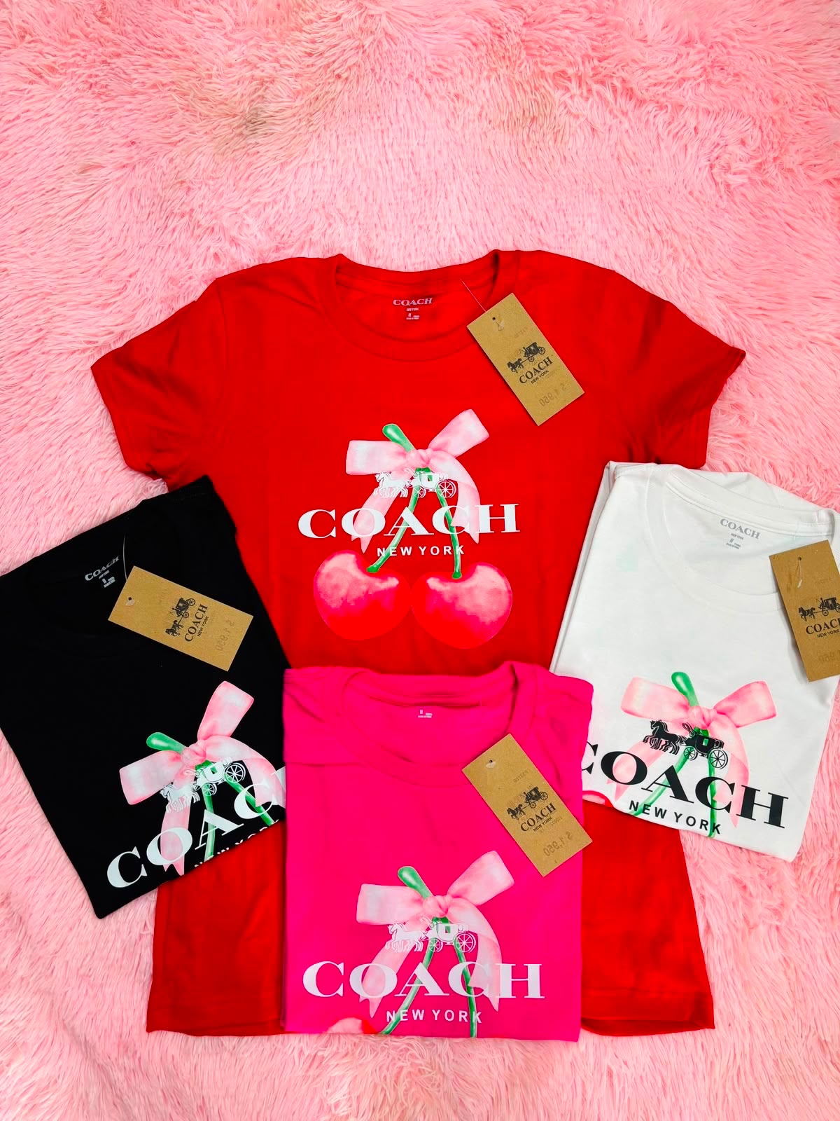 Playera Dama 12 Piezas