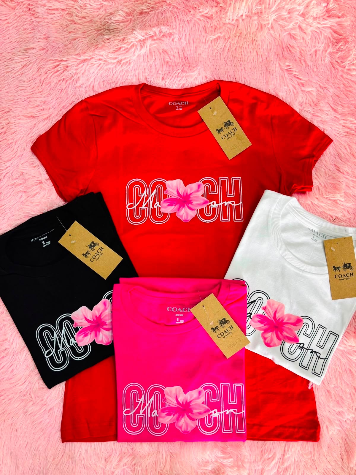 Playera Dama 12 Piezas